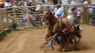 rodeo kovboy - bulldogging yavaş çekimde güreş yönlendirmek