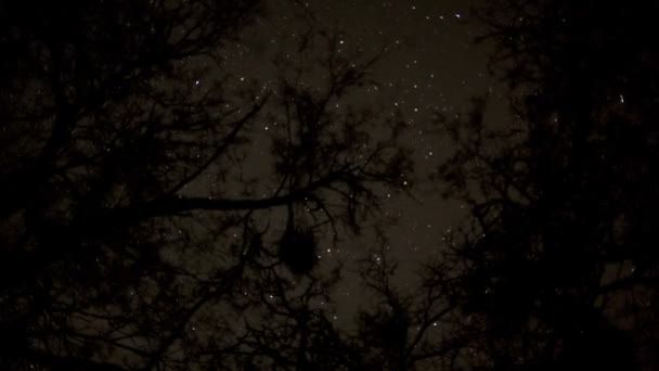 Time Lapse of Stars — Stock Video