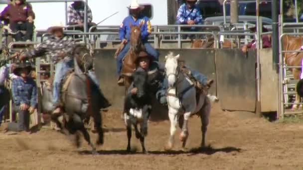 Rodeo cowboys - bulldogging styra brottning i slow motion — Stockvideo