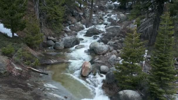 Ruisseau forestier à Yosemite 