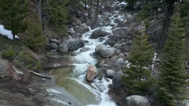 Waldbach im Yosemite — Stockvideo