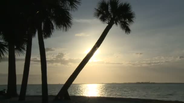 Ηλιοβασίλεμα στο key west — Αρχείο Βίντεο