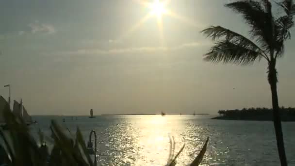 Zonsondergang in key west — Stockvideo