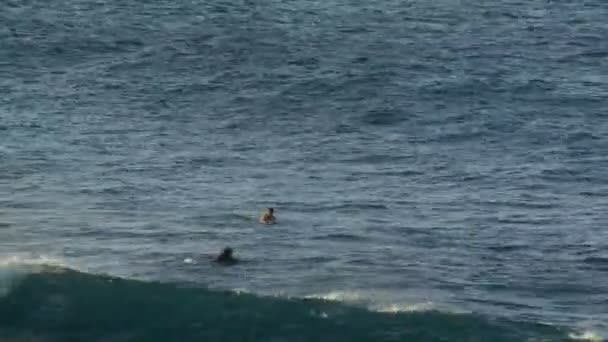 Time Lapse of Surfers — Stock Video