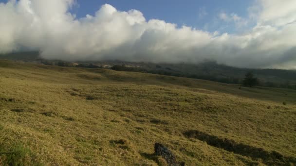 Wolk bedekte bergen - kula hawaii — Stockvideo
