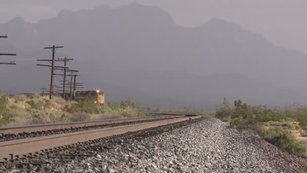 Tren de mercancías — Vídeo de stock