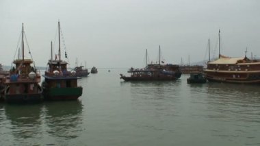 Halong Körfezi Vietnam