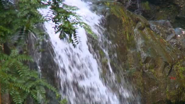 Vattenfall på vägen till hana, maui, hawaii — Stockvideo