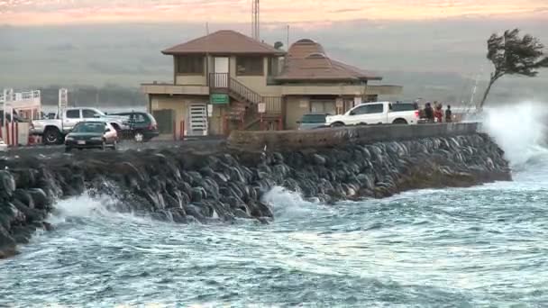 Laps de temps de vagues et rochers maui hawaii — Video