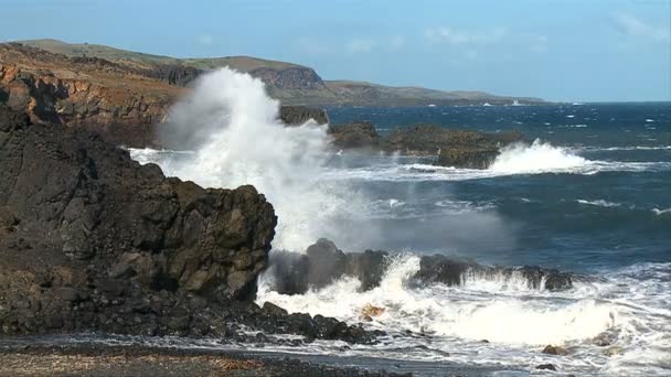 Powolny ruch fal w maui na Hawajach — Wideo stockowe