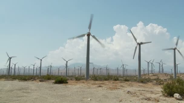 Вітрогенератори Powered, вітряні млини - Уповільнена зйомка — стокове відео
