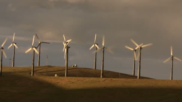 Power Windmills — Stock Video