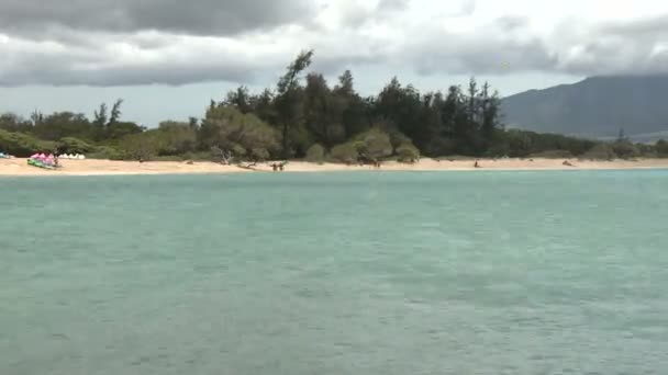 Wind Surfers in Kahalui Maui - Time Lapse — Stock Video