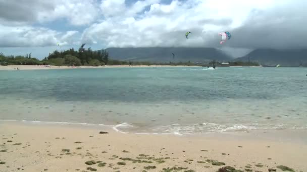 Ветросерфингисты в Кахалуи-Мауи - время покажет — стоковое видео