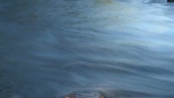 Verschwommenes Bachwasser - erfrischend — Stockvideo