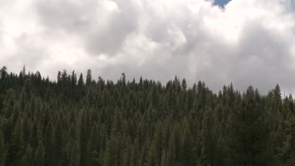 Scène de montagne de Yosemite — Video