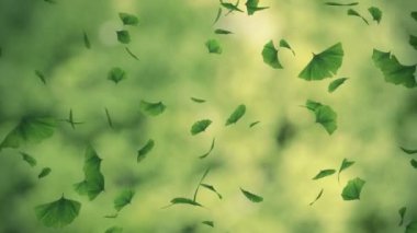 düşen gingko yeşillik - ilmekledi animasyon