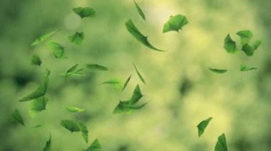 düşen gingko yeşillik - ilmekledi animasyon