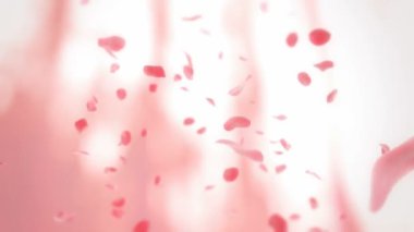 patlayan cam plaka geçiş - Alfa maskeli 3d animasyon