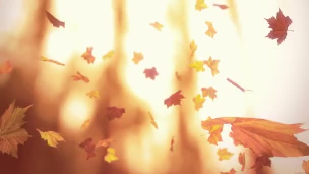 Herbst fallendes Laub - geloopter 3D animierter Speck — Stockvideo