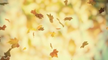 düşen sonbahar yaprakları - 3d animasyonlu bacground ilmekledi