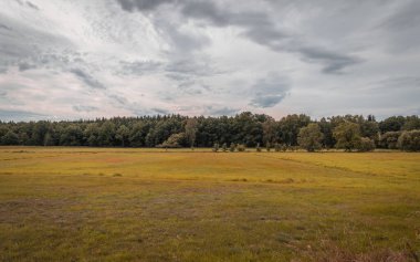 Bulutlu Bulut - Doğa Gökyüzü Arkaplanı. Yüksek kalite fotoğraf