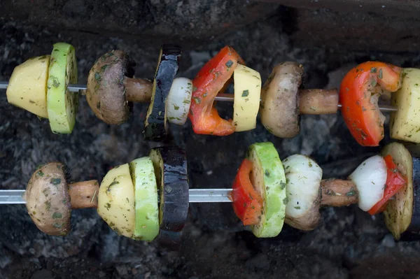 Приготування Вегетаріанського Дієтичного Шашлику Здорових Овочів Саморобному Багатті — стокове фото