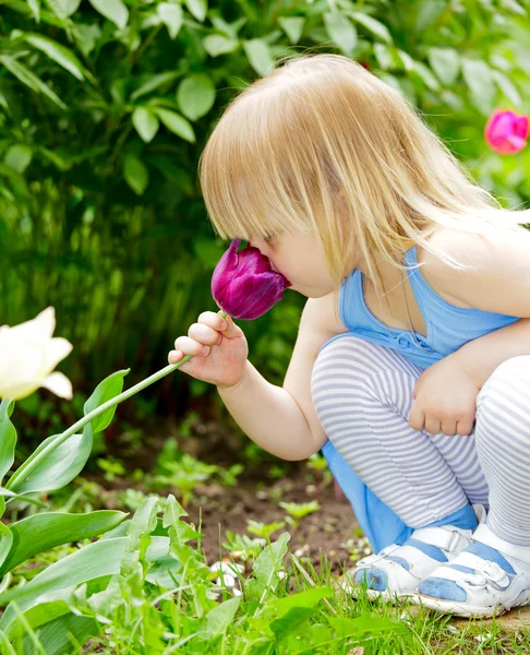 Dziecko pachnący kwiat — Zdjęcie stockowe