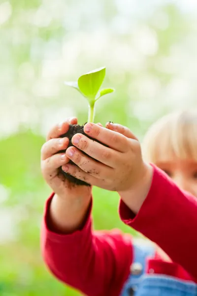 Kind mit Schuss in die Hände — Stockfoto