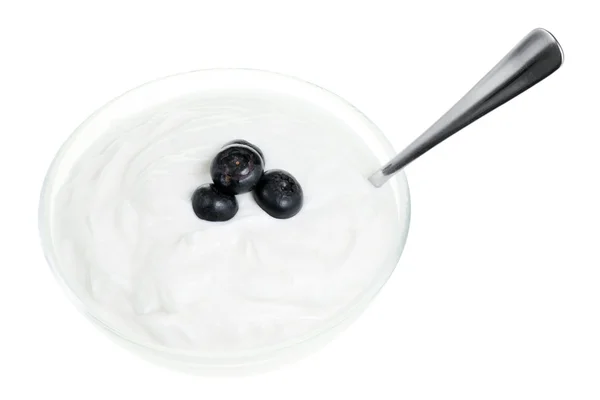 Joghurtot tálba, és a fekete áfonya — Stock Fotó