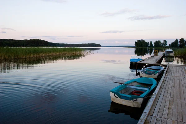 Avond bij forest lake — Stockfoto