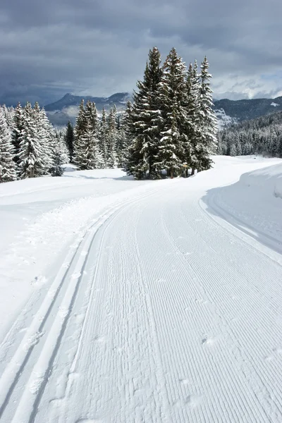 Cross-country ski track — Stock Photo, Image