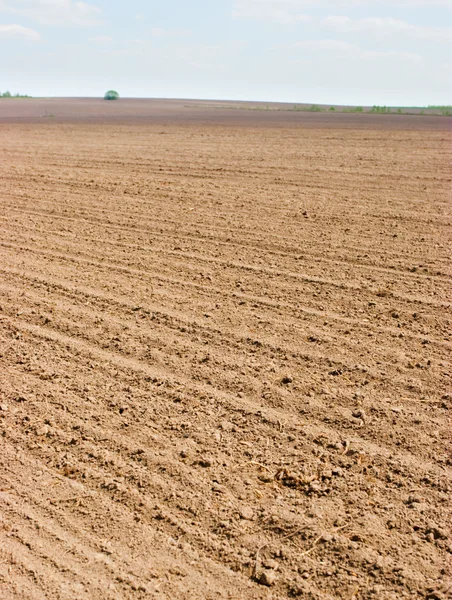 Plowed field — Stock Photo, Image