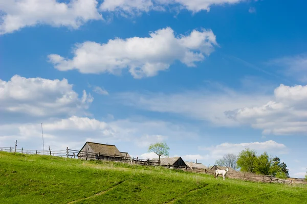 Escena rural — Foto de Stock