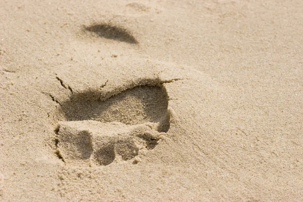 모래 위에 발자국 — 스톡 사진