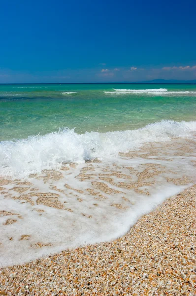 Sea shore — Stock Photo, Image