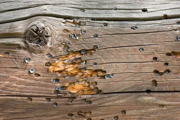 Madera con marcas de bala — Foto de Stock