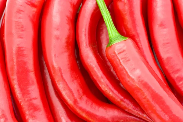 Chili peppers — Stock Photo, Image