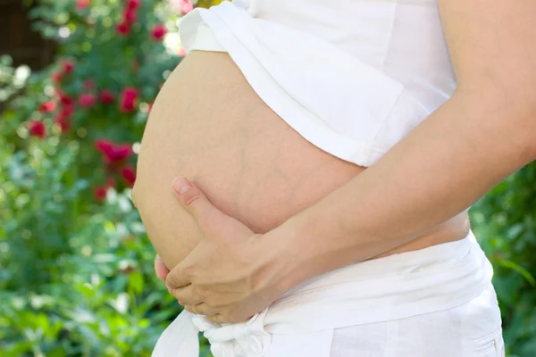 Pregnant womans stomach — Stock Photo, Image