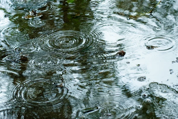 Rainy weather — Stock Photo, Image