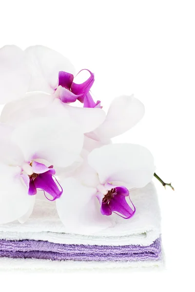 White orchid on towels — Stock Photo, Image