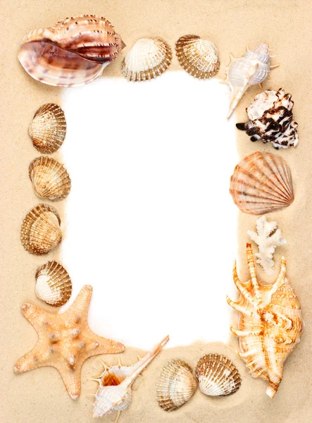 Shells on sand frame — Stock Photo, Image