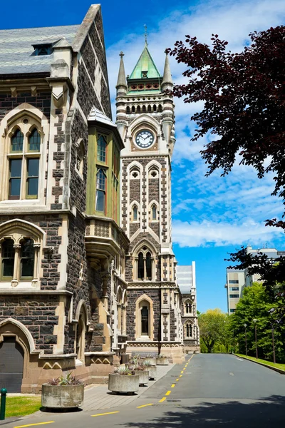 Universitetar av otago — Stockfoto