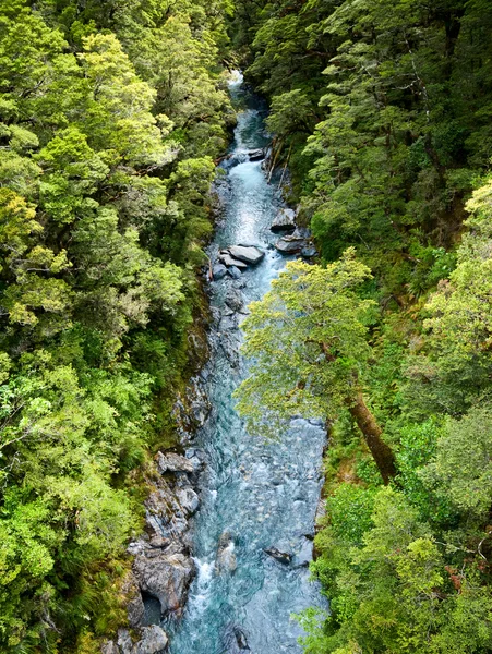 Rio da floresta tropical — Fotografia de Stock