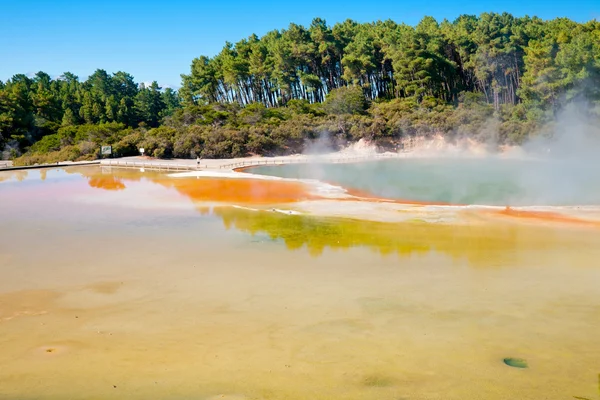 Tavolozza degli artisti e Champagne Pool — Foto Stock