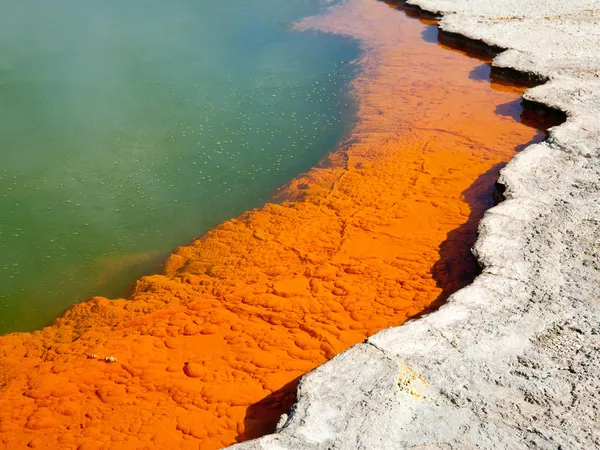 Champagne Pool edge — Stock Photo, Image