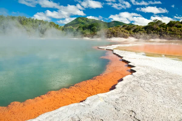 Champagne Pool — Stock Photo, Image