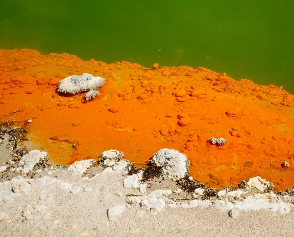 Champagne Pool edge — Stock Photo, Image