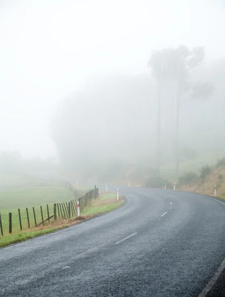 Camino brumoso —  Fotos de Stock