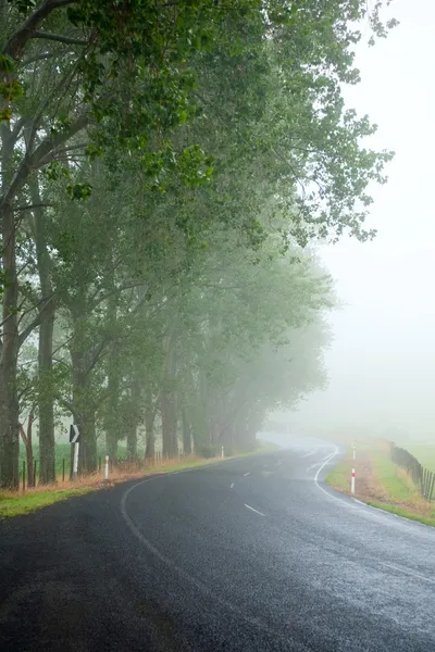 Mistige weg — Stockfoto